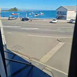 Apartment Modern & Cosy Studio Unit On Island Bay Beachfront Wellington